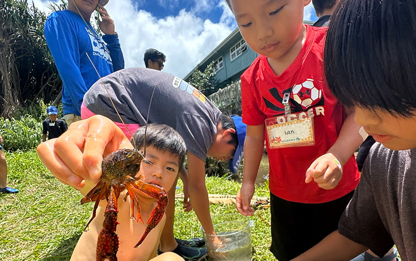 액티비티를 즐기는 모습