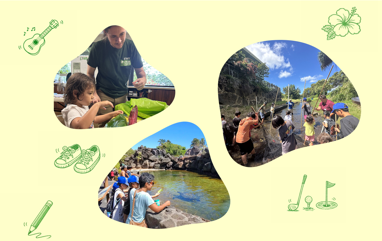 아카데미아 알로하 캠프에서 아이들이 액티비티를 즐기는 모습